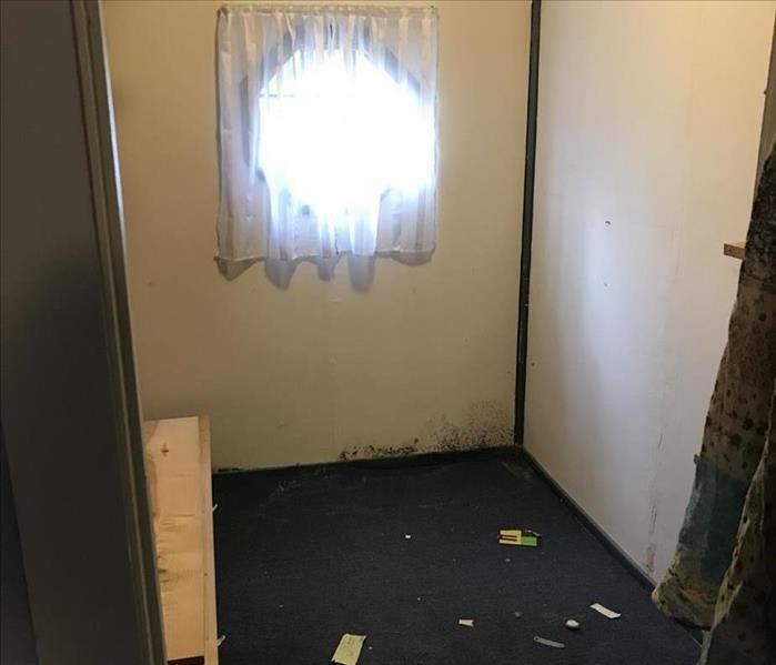 A walk-in-closet with a dirty floor and some mold around the lower perimeter
