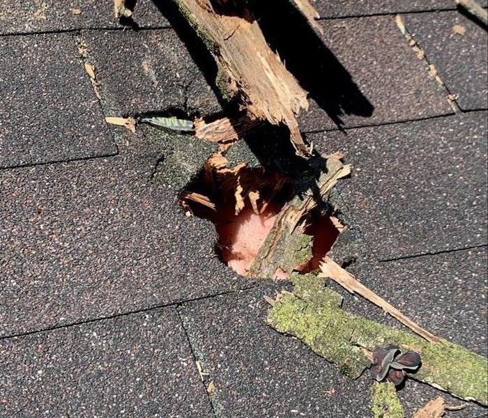 Hole in a roof from a tree banch