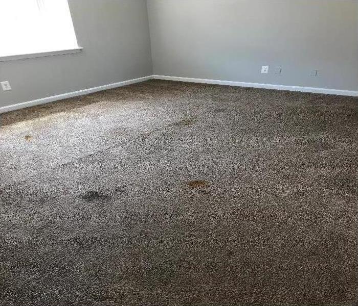  Empty bedroom with dirty carpet