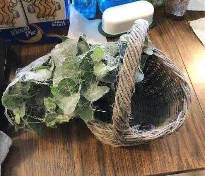 A dirty artificial plant in a basket