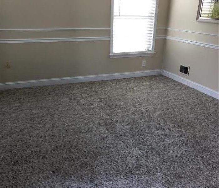  Empty living room with clean carpet