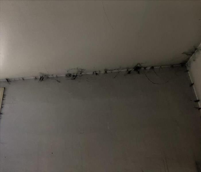Soot damage in the crease of the ceiling and wall