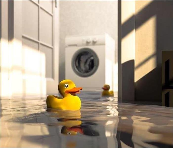 Rubber ducks floating in a laundry room